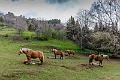 2019_05_02_Auvergne (0035)